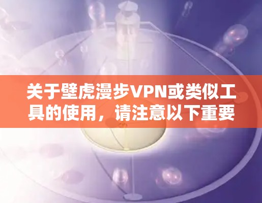 关于壁虎漫步VPN或类似工具的使用，请注意以下重要信息
