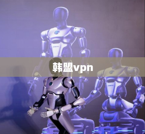 韩盟vpn