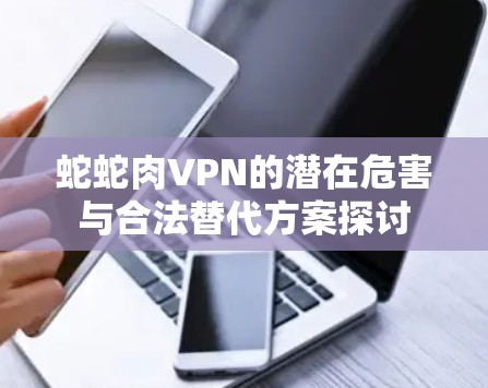 蛇蛇肉VPN的潜在危害与合法替代方案探讨