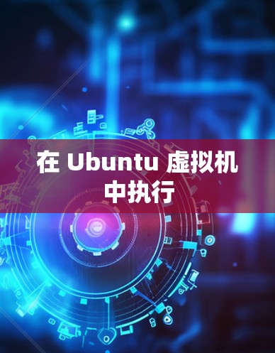 在 Ubuntu 虚拟机中执行