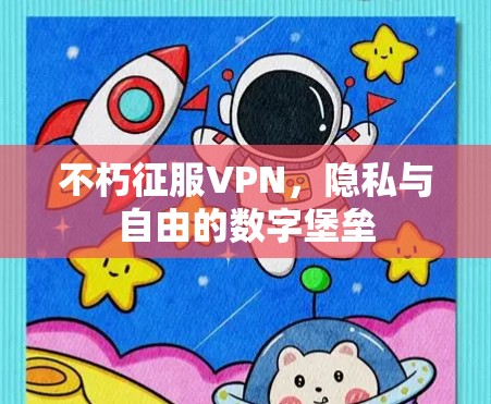 不朽征服VPN，隐私与自由的数字堡垒