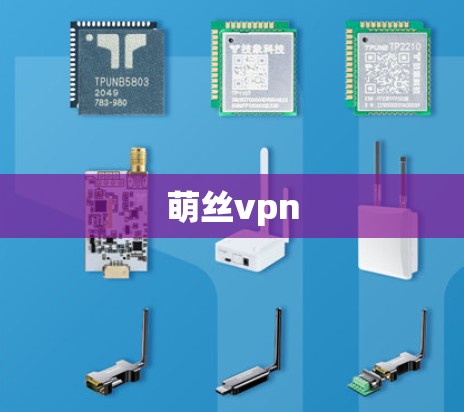 萌丝vpn