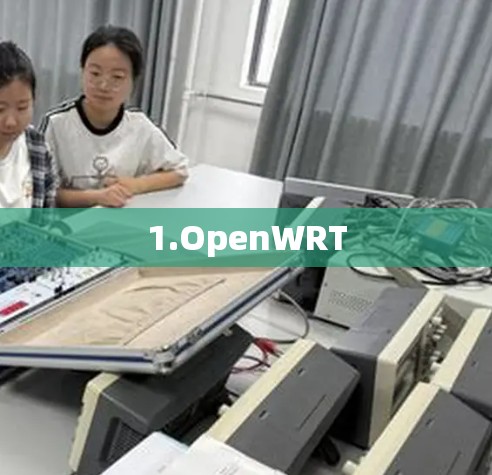 1.OpenWRT